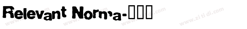 Relevant Norma字体转换